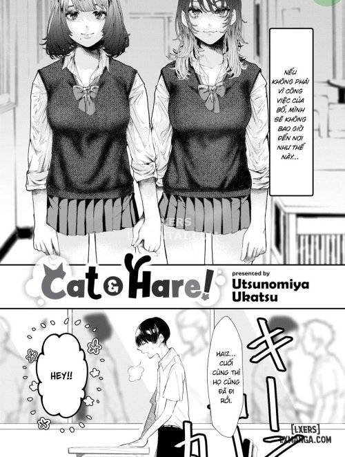 cat-hare