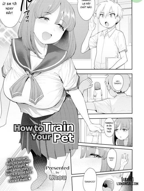 how-to-train-your-pet