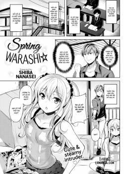 spring-warashi