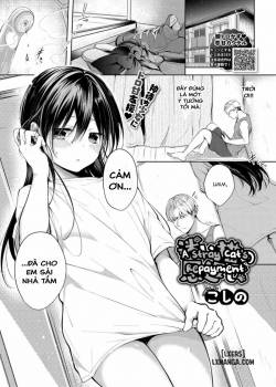 a-stray-cat-s-repayment