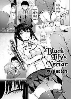 black-lily-s-nectar