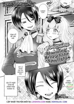 blooming-beneath-the-spotlight