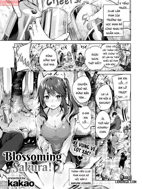 blossoming-sakura