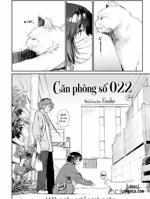 can-phong-022