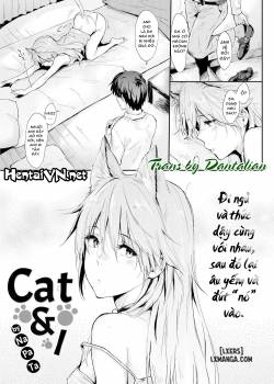 cat-i