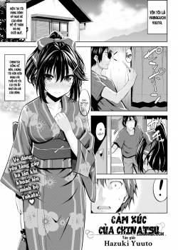 chinatsu-s-emotions