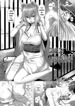 chronicle-of-a-heisei-pleasuring-wolf