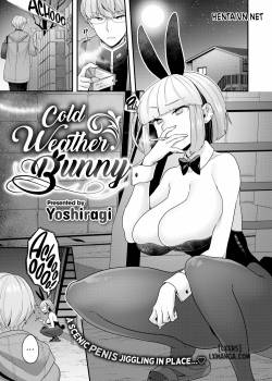 cold-weather-bunny