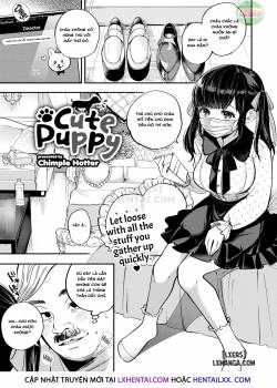 cute-puppy