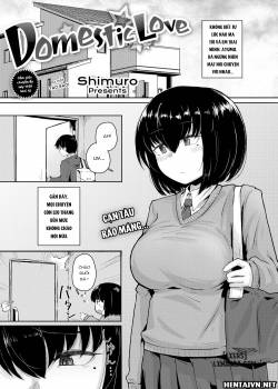 domestic-love