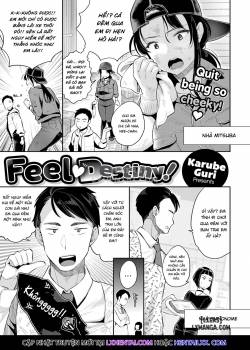feel-destiny