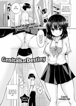 genitals-of-destiny