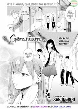 geranium