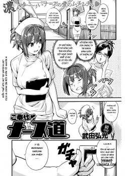 gohoushi-nurse-dou