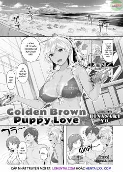 golden-brown-puppy-love