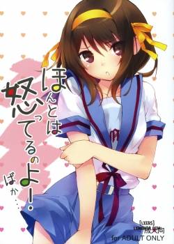 honto-wa-okotteru-no-yo-baka