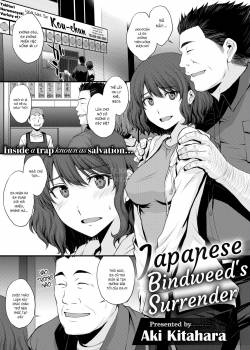 japanese-bindweed-s-surrender-2