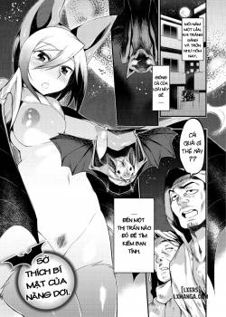 jitsuroku-koumori-onna-tachi-no-hanshokuki