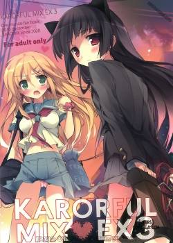 karorful-mix-ex3