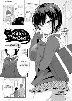 kitten-on-the-bed