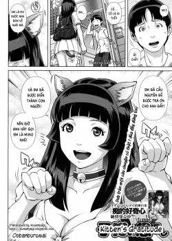 kitten-s-gratitude