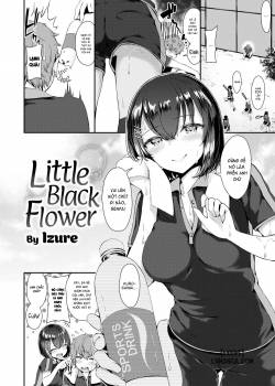 little-black-flower