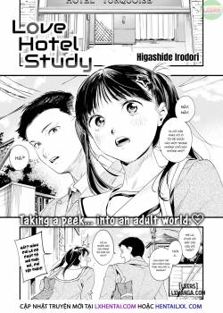 love-hotel-study