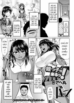 meikko-ga-kuru