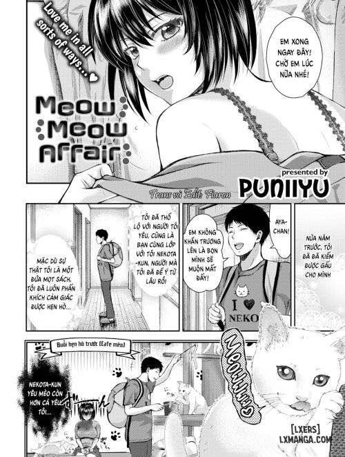 meow-meow-affair
