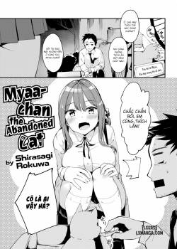 miyaa-chan-the-abandoned-cat