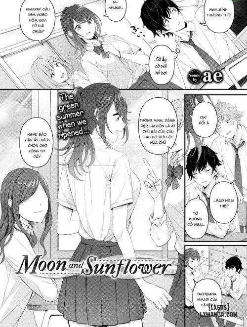 moon-and-sunflower