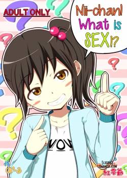 nii-chan-sex-tte-nani