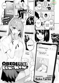 obedient-bow-wow