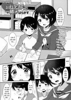 onee-san-to-issho