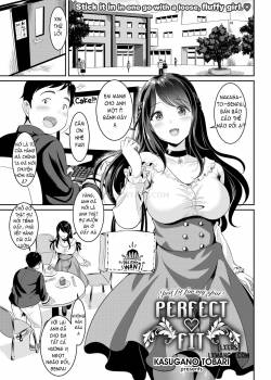 perfect-fit