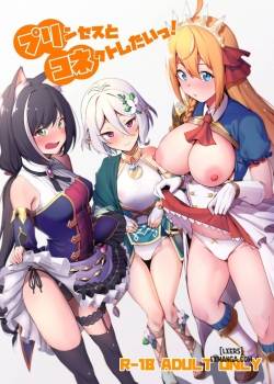 princess-to-connect-shitai