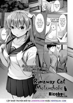runaway-cat-melancholic