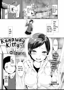 runaway-kitty