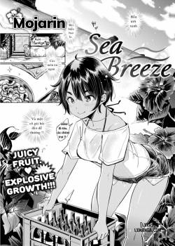 sea-breeze