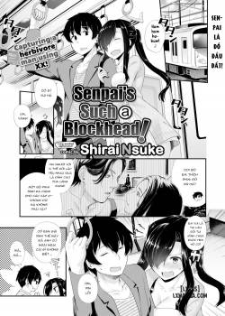 senpai-s-such-a-blockhead