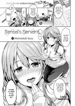 sensei-s-servant