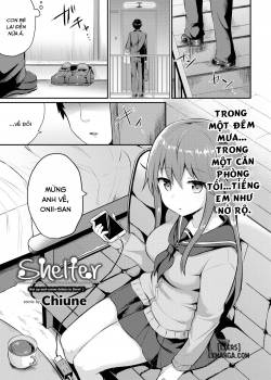 shelter-2