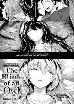 the-blink-of-an-owl
