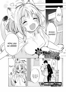 the-proper-way-to-treat-your-pet