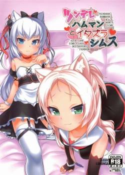 tsundere-hammann-to-itazura-sims