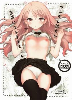 tsundere-kanojo-ga-sunao-ni-naru-made-ecchi