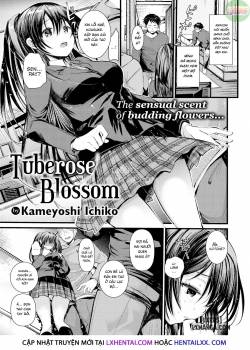 tuberose-blossom