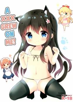 watashi-ni-xxx-ga-haete-kita