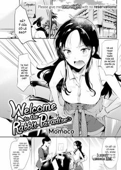 welcome-to-the-rabbit-paradise